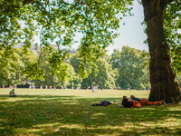 People are resting in the shade in Green Park, as the capital is being hit by a heatwave which is set to bring the temperatures to 35C, in L...