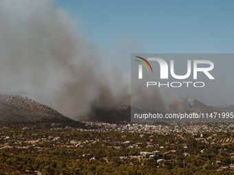 Severe wildfires are erupting across Attica, Greece, fueled by extreme heat, drought, and high winds in Neos Voutzas, Attica, Greece, on Aug...