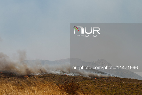 Severe wildfires are erupting across Attica, Greece, fueled by extreme heat, drought, and high winds in Neos Voutzas, Attica, Greece, on Aug...