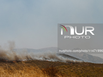 Severe wildfires are erupting across Attica, Greece, fueled by extreme heat, drought, and high winds in Neos Voutzas, Attica, Greece, on Aug...