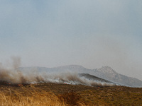 Severe wildfires are erupting across Attica, Greece, fueled by extreme heat, drought, and high winds in Neos Voutzas, Attica, Greece, on Aug...