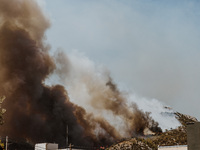 Severe wildfires are erupting across Attica, Greece, fueled by extreme heat, drought, and high winds since Sunday, in Nea Makri, Attica, Gre...