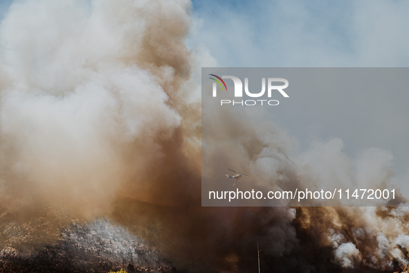 Severe wildfires are erupting across Attica, Greece, fueled by extreme heat, drought, and high winds since Sunday, in Nea Makri, Attica, Gre...