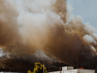 Severe wildfires are erupting across Attica, Greece, fueled by extreme heat, drought, and high winds since Sunday, in Nea Makri, Attica, Gre...