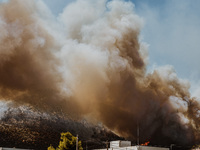 Severe wildfires are erupting across Attica, Greece, fueled by extreme heat, drought, and high winds since Sunday, in Nea Makri, Attica, Gre...