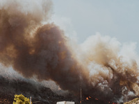 Severe wildfires are erupting across Attica, Greece, fueled by extreme heat, drought, and high winds since Sunday, in Nea Makri, Attica, Gre...