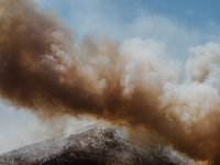 Severe wildfires are erupting across Attica, Greece, fueled by extreme heat, drought, and high winds since Sunday, in Nea Makri, Attica, Gre...