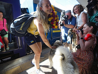 Ukrainian sabre fencer Yuliia Bakastova, who is winning gold in the Women's Sabre Team Gold Medal Match, is petting a dog on the platform of...