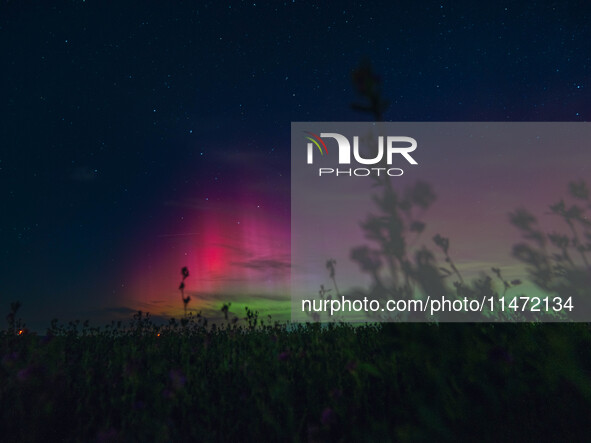 Wisconsin's night sky is glowing with the Northern Lights, as a geomagnetic storm is bringing vibrant pink and green colors, stealing the sp...