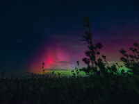 Wisconsin's night sky is glowing with the Northern Lights, as a geomagnetic storm is bringing vibrant pink and green colors, stealing the sp...