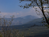 Fire at the Bulgarian-Greek border in Slavyanka mountain from the side of Bulgaria which or Orvilos from Greece. The fire is burning since 1...