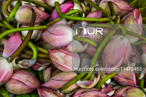 Lotus flowers are being sold at the Chalai market in Thiruvananthapuram, Kerala, India, on April 13, 2024. The Chalai Market (Chalai bazaar)...