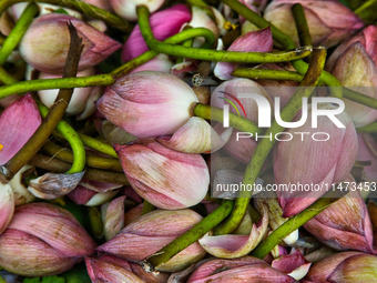 Lotus flowers are being sold at the Chalai market in Thiruvananthapuram, Kerala, India, on April 13, 2024. The Chalai Market (Chalai bazaar)...