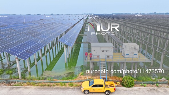 Operation and maintenance personnel are inspecting the operating power generation facilities at the ''fishery-solar hybrid project'' photovo...