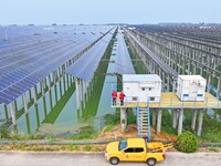 Operation and maintenance personnel are inspecting the operating power generation facilities at the ''fishery-solar hybrid project'' photovo...