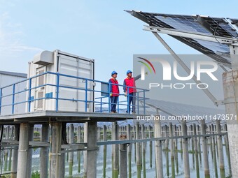 Operation and maintenance personnel are inspecting the operating power generation facilities at the ''fishery-solar hybrid project'' photovo...