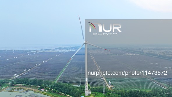 Operation and maintenance personnel are inspecting the operating power generation facilities at the ''fishery-solar hybrid project'' photovo...