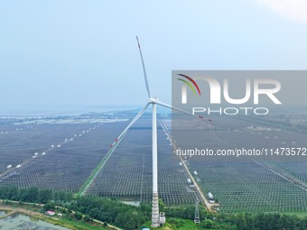 Operation and maintenance personnel are inspecting the operating power generation facilities at the ''fishery-solar hybrid project'' photovo...