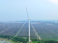 Operation and maintenance personnel are inspecting the operating power generation facilities at the ''fishery-solar hybrid project'' photovo...