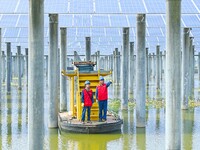 Operation and maintenance personnel are inspecting the operating power generation facilities at the ''fishery-solar hybrid project'' photovo...