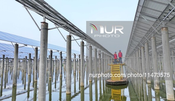 Operation and maintenance personnel are inspecting the operating power generation facilities at the ''fishery-solar hybrid project'' photovo...