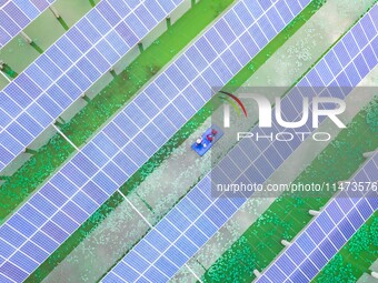 Operation and maintenance personnel are inspecting the operating power generation facilities at the ''fishery-solar hybrid project'' photovo...