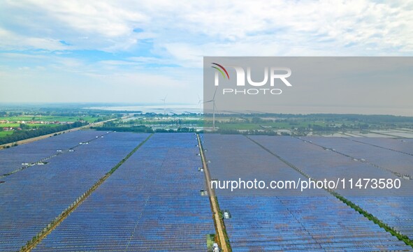 Operation and maintenance personnel are inspecting the operating power generation facilities at the ''fishery-solar hybrid project'' photovo...