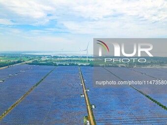 Operation and maintenance personnel are inspecting the operating power generation facilities at the ''fishery-solar hybrid project'' photovo...