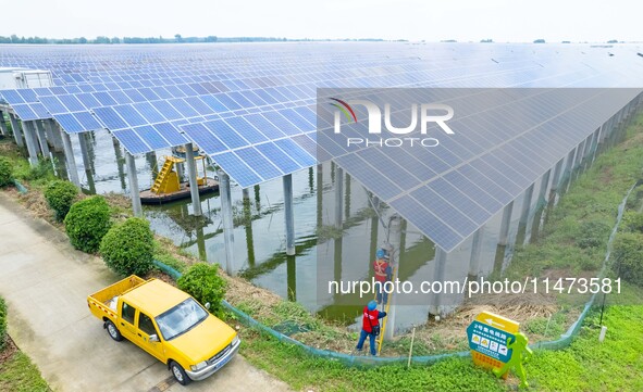 Operation and maintenance personnel are inspecting the operating power generation facilities at the ''fishery-solar hybrid project'' photovo...