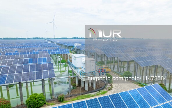 Operation and maintenance personnel are inspecting the operating power generation facilities at the ''fishery-solar hybrid project'' photovo...