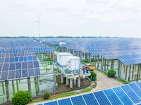 Operation and maintenance personnel are inspecting the operating power generation facilities at the ''fishery-solar hybrid project'' photovo...