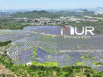 A photovoltaic power station is operating on a barren mountain in Tiankeng village, Shuiquan Town, Zaozhuang Shanting District, Shandong pro...