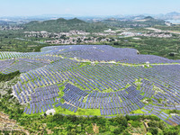 A photovoltaic power station is operating on a barren mountain in Tiankeng village, Shuiquan Town, Zaozhuang Shanting District, Shandong pro...