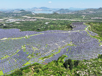 A photovoltaic power station is operating on a barren mountain in Tiankeng village, Shuiquan Town, Zaozhuang Shanting District, Shandong pro...