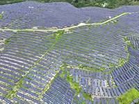 A photovoltaic power station is operating on a barren mountain in Tiankeng village, Shuiquan Town, Zaozhuang Shanting District, Shandong pro...