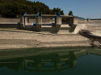 With the release of the last 2 million cubic meters of water still available for irrigation use, the Occhito dam, the largest artificial res...