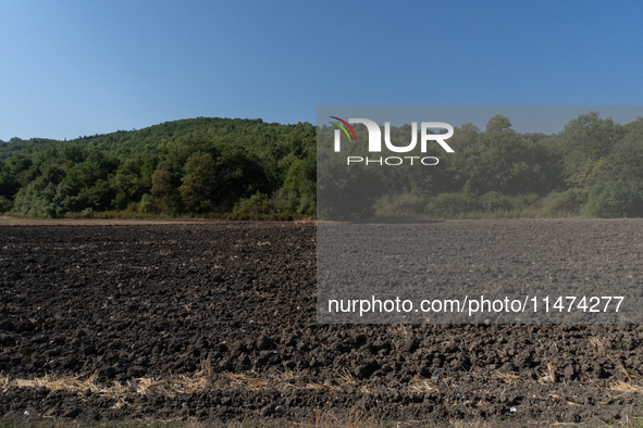 With the release of the last 2 million cubic meters of water still available for irrigation use, the Occhito dam, the largest artificial res...