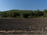 With the release of the last 2 million cubic meters of water still available for irrigation use, the Occhito dam, the largest artificial res...