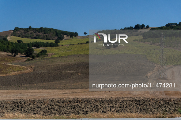 With the release of the last 2 million cubic meters of water still available for irrigation use, the Occhito dam, the largest artificial res...