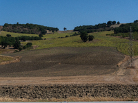 With the release of the last 2 million cubic meters of water still available for irrigation use, the Occhito dam, the largest artificial res...