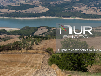 With the release of the last 2 million cubic meters of water still available for irrigation use, the Occhito dam, the largest artificial res...