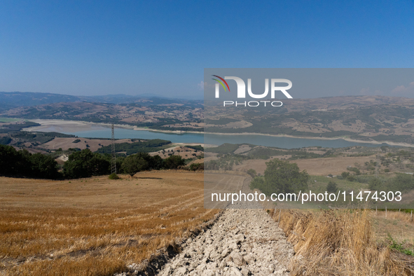 With the release of the last 2 million cubic meters of water still available for irrigation use, the Occhito dam, the largest artificial res...