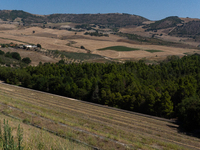 With the release of the last 2 million cubic meters of water still available for irrigation use, the Occhito dam, the largest artificial res...