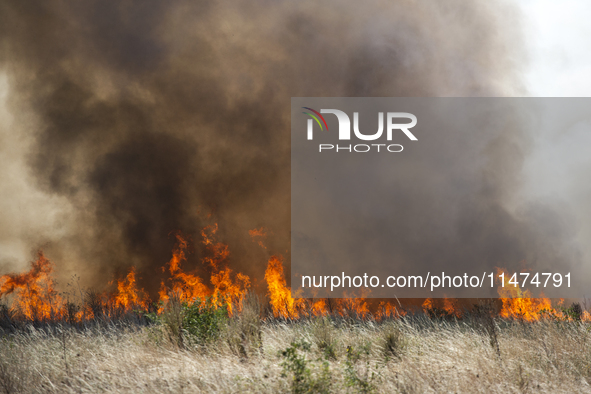 Dry grass and brush are burning between Sofia Airport and Hristo Botev district on August 13, 2024, in Sofia, Bulgaria. Bulgaria is ranking...