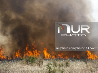 Dry grass and brush are burning between Sofia Airport and Hristo Botev district on August 13, 2024, in Sofia, Bulgaria. Bulgaria is ranking...