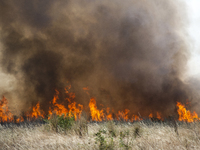 Dry grass and brush are burning between Sofia Airport and Hristo Botev district on August 13, 2024, in Sofia, Bulgaria. Bulgaria is ranking...