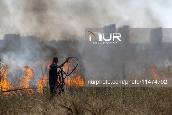 Dry grass and brush are burning between Sofia Airport and Hristo Botev district on August 13, 2024, in Sofia, Bulgaria. Bulgaria is ranking...