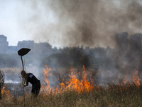 Dry grass and brush are burning between Sofia Airport and Hristo Botev district on August 13, 2024, in Sofia, Bulgaria. Bulgaria is ranking...