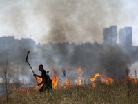 Dry grass and brush are burning between Sofia Airport and Hristo Botev district on August 13, 2024, in Sofia, Bulgaria. Bulgaria is ranking...