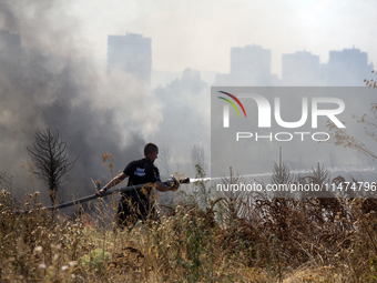 Dry grass and brush are burning between Sofia Airport and Hristo Botev district on August 13, 2024, in Sofia, Bulgaria. Bulgaria is ranking...